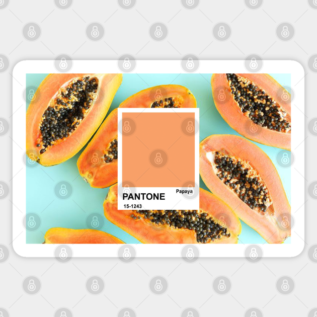 Papaya color Pantone Color Sticker TeePublic